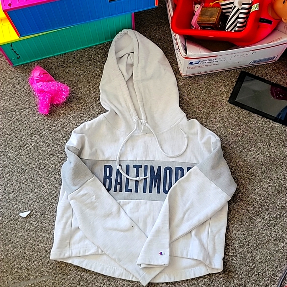 Baltimore champion cropped hoodie